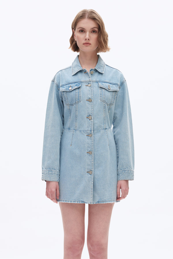 Long Sleeve Mini Dress-Dresses-BAYEAS