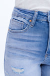 Lily Ripped Denim Shorts