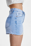 High Rise Distressed Denim Shorts