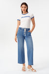 Briar High Rise Wide Leg Jeans